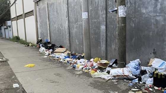 Nakapangingilabot na pagtuklas: Patay na sanggol, natagpuan tambak ng basura tabi ng daan sa Pasig