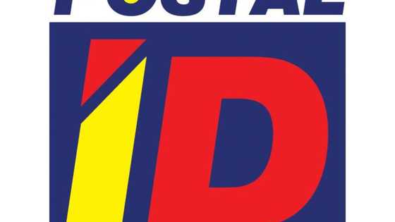 Efficient and precise tips on how to get postal ID in 2020