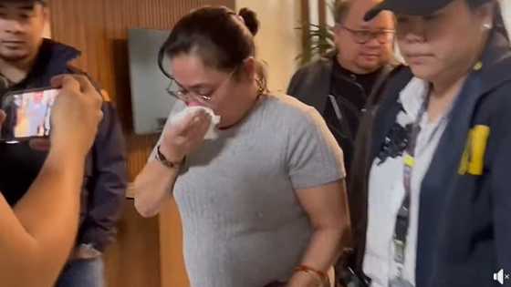 Arrest warrants served vs Sarah Discaya over P96.5M flood project