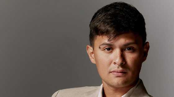 Matteo Guidicelli, ibinida ang pag-aaral sa Harvard Business School