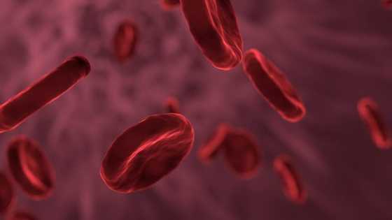 Thick Blood: Reasons and What to Do