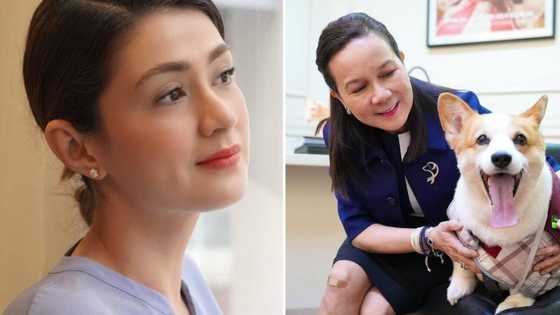 Carla Abellana shares screenshot of convo with Sen. Grace Poe about revised Animal Welfare Act