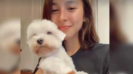 Video of Julia Barretto hugging her dog goes viral amid Gerald and Yam's "maiinit" scenes