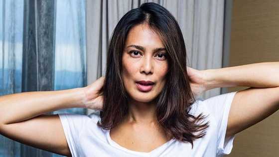 Is Angel Aquino married? Find out the identity of the 'Glorious' star's husband