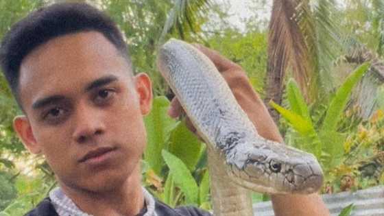Pagpanaw ng isang snake rescuer at veterinary student, ikinalungkot ng marami