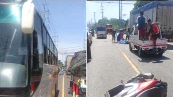 Rider and live-in partner backrider die after being his by a bus