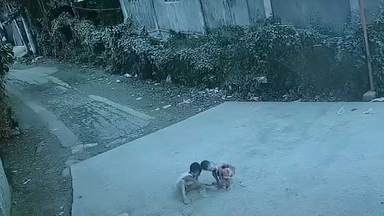 5 at 6-anyos na magpinsang naglalaro sa kalsada, nasagasaan ng taxi; isa patay