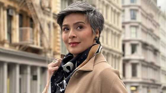 Dawn Zulueta, inaliw ang netizens sa komentong iniwan niya sa post ni Christian Antolin