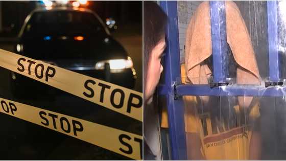 Man caught possessing a gun and grenade also turns out to be allegedly involved in a murder case