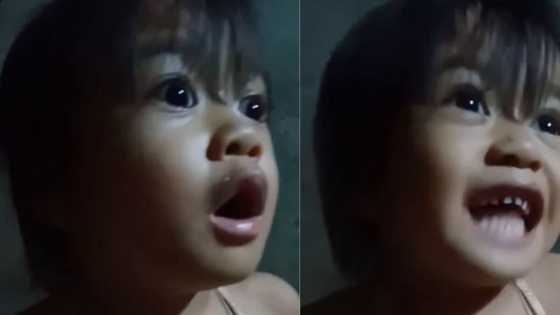 Video ng batang tila sinisermunan ang kanyang kuya, kinagiliwan online