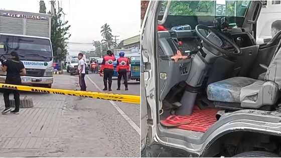 Truck driver and helper, wounded from armed riding-in-tandem attack