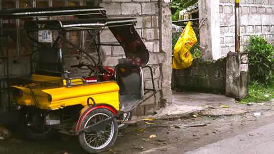 Mag-asawang nagtitinda ng prutas, patay nang mabangga ng SUV na nag-oovertake ang traysikel nila