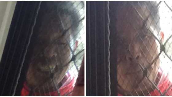 Woman warns netizens against a man who allegedly attempted to break in their house