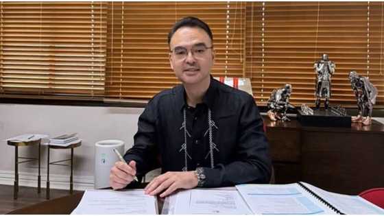 Senators react to Cayetano’s snap election proposal