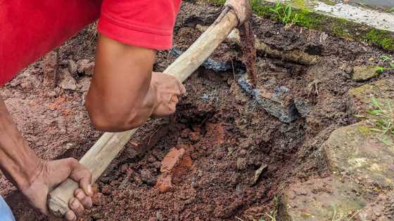 Husband Spent Every Saturday Digging in the Backyard—What I Found in the Pit Made My Blood Run Cold