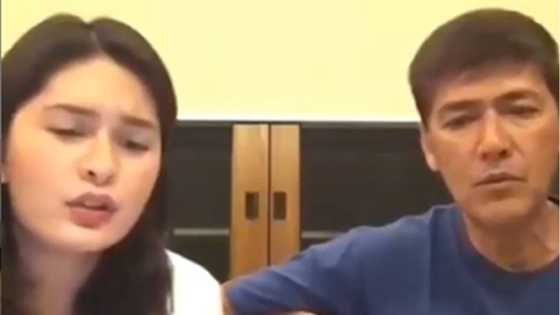 Pauleen Luna schools netizen over ‘rude’ comment on her video with Vic Sotto