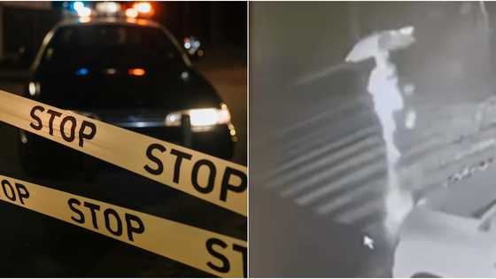 74-year-old woman, gets hit by an SUV while crossing the pedestrian lane