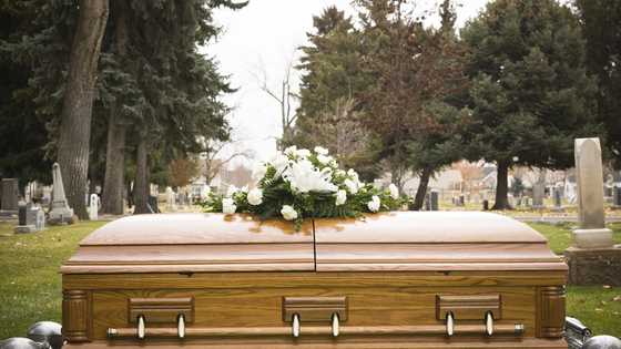 Before my mother died, she begged me not to let my sister near her coffin — Then I learned why