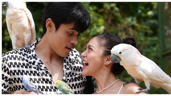 Xian Lim, sakaling bigyan ng pagkakataong makatrabaho si Kim: "why not?"
