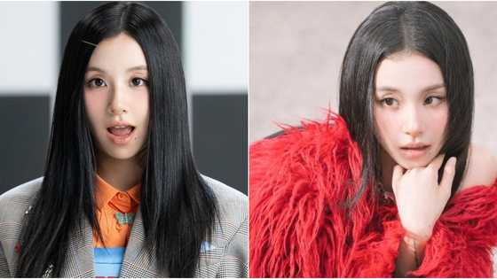 TWICE member Chaeyoung to lay low from group activities after being diagnosed with vasovagal syncope