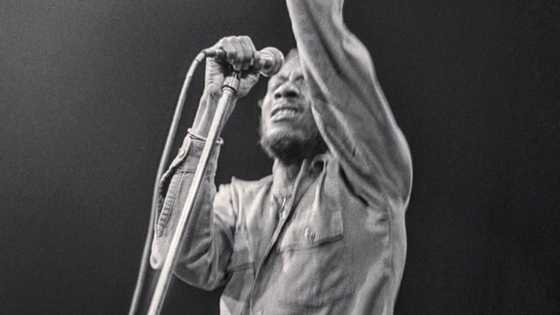 Iconic reggae star Jimmy Cliff dies, wife reveals cause