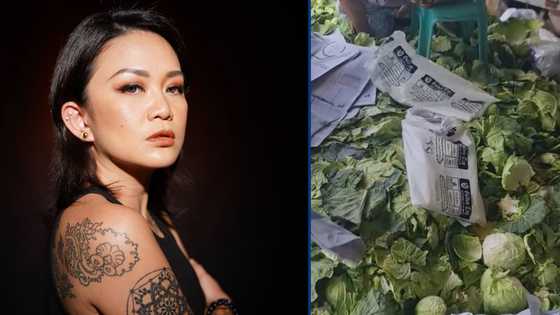 Tuesday Vargas, naglabas ng saloobin sa kalagayan ng mga magsasakang nagugutom