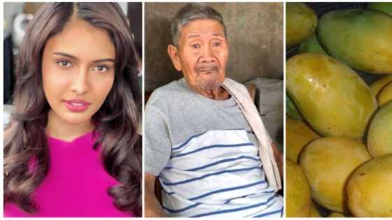 Rabiya Mateo, nais mahanap ang lolong kinasuhan dahil sa umano'y pagnanakaw ng mangga