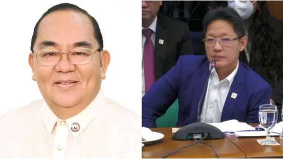 Lawmakers denied alleged involvement in flood control projects mess following Discaya's statement