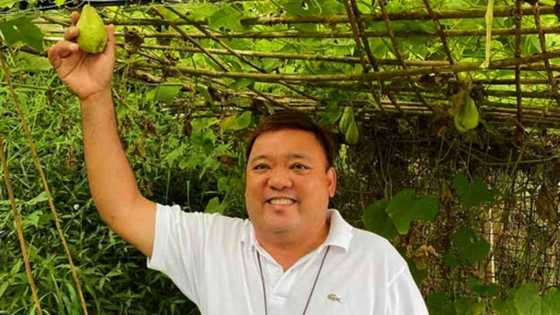 Harry Roque, sinabi na magkamukha raw sila ni James Reid; netizens, nagkagulo