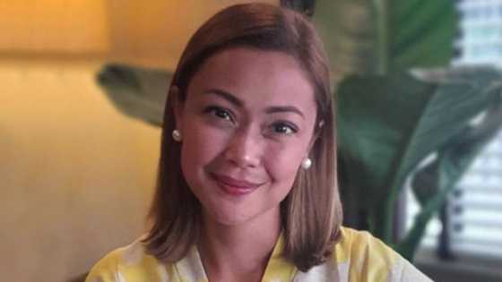 Jodi Sta. Maria, ipinakita kung ano ginawa ng kanyang adopted dog sa kanyang furniture