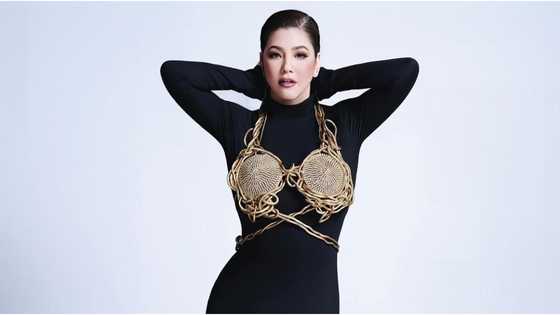 Regine Velasquez on current corruption issues: "may magbabalik ba ng mga ninakaw nila?"