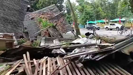 Vendor, sugatan matapos madaganan ng puno sa Dumingag, clearing operations isinagawa