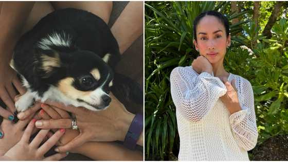 Ina Raymundo mourns death of her pet dog: “We miss you deeply”