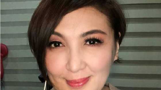 Sharon Cuneta debuts brand new hairstyle on social media