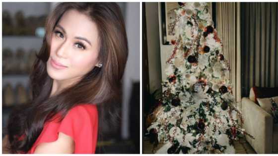 Toni Gonzaga, ibinida ang bonggang Christmas tree niya sa bahay