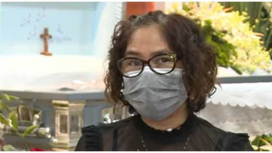 Ina ni Bree Jonson, pinayagan si Julian Ongpin na pumunta sa burol ng artist