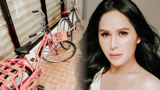 Price of Jinkee Pacquiao's Hermes and LV bikes get revealed