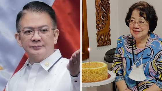 Sen. Chiz Escudero posts warm birthday wishes for his motherq