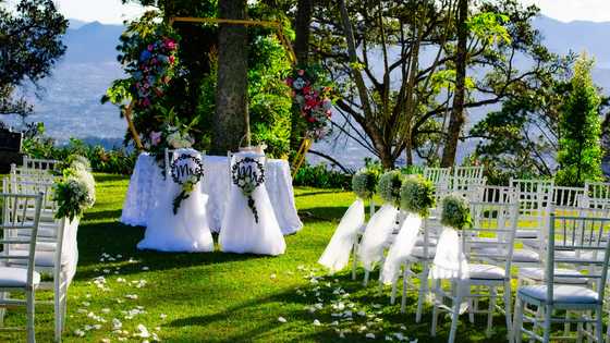 My brother married the girl who bullied me — Then dad save her a gift at the wedding