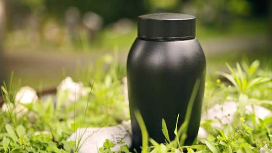 I went to scatter my mom’s ashes — Then a stranger said she was expecting me
