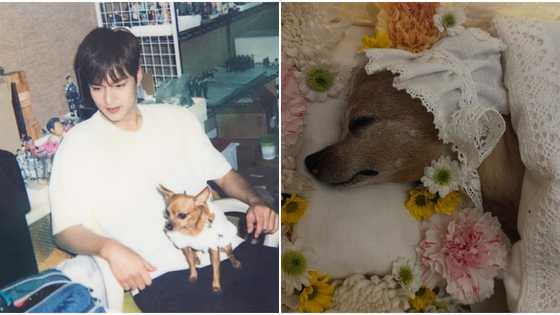 Lee Min-ho mourns death of his beloved pet dog Choco: “16 years”