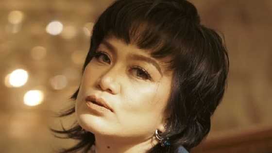 Tuesday Vargas, pinuri dahil sa malalim na payo nito sa viral 'rants' ni Alvin Aragon