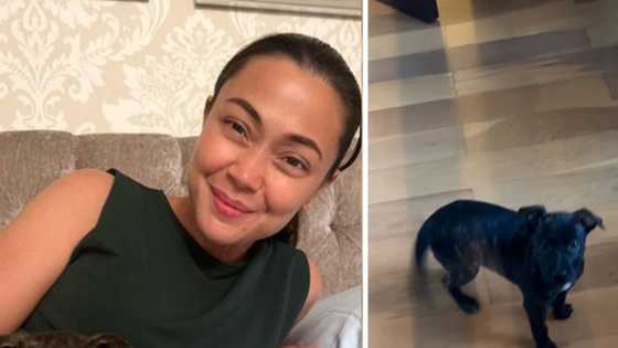 Jodi Sta. Maria, lagi na lang naghahanap ng tsinelas sa umaga: "Simula nung dumating si Lily"