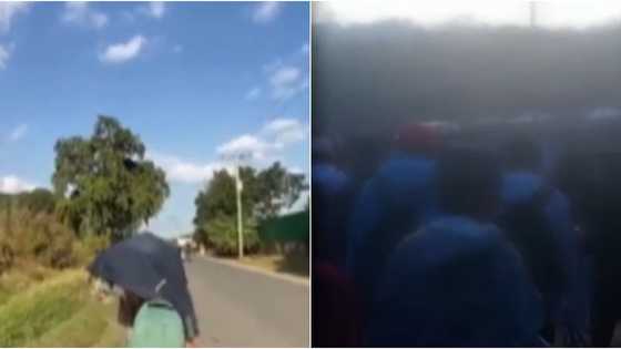 Ilang estudyante, hinimatay sa ilang oras na lakad para mahanap ang bus pauwi mula sa field trip