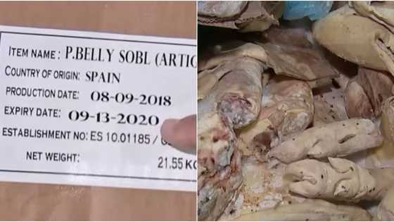 P600-M na halaga ng expired meat na nire-reprocess umano para gawing hotdog at siomai, nasakote