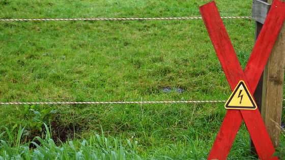 Solar light post installation turns fatal leaving one dead and two injured