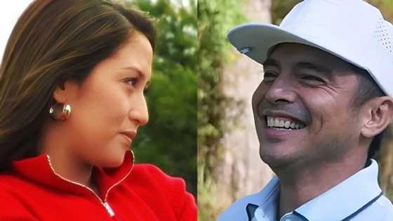 Jolina Magdangal at Marvin Agustin love team, may nakakakilig na comeback serye