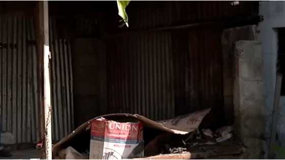 Teenage boy sets makeshift storage room on fire, then ransacks owner's house after