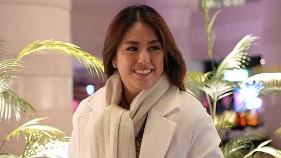 Gretchen Ho, muntik malagay sa panganib ang buhay sa kanyang South Africa trip