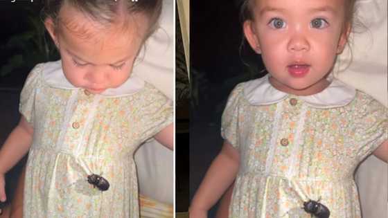 Angelica Panganiban, ipinakita gaano katapang si Baby Bean: "A bug"